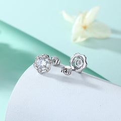 S925 Silver Star Statement Earrings