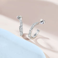 S925 Silver CC Zircon Stud Earrings