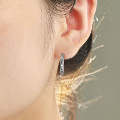 S925 Silver CC Zircon Stud Earrings